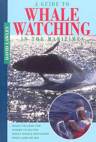 A Guide to Whale Watching in the Maritimes by David Lawley, 9781551092072