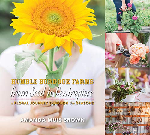 From Seed to Centrepiece (A Floral Journey through the Seasons) by Amanda Muis Brown, 9781771085250