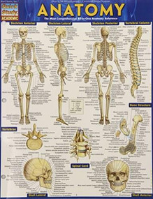Anatomy - Reference Guide (8.5 x 11) (a QuickStudy reference tool) by Perez, Vincent, 9781423222781