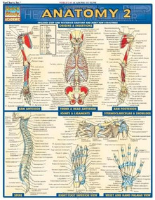 Anatomy 2 - Reference Guide (8.5 x 11) (a QuickStudy Reference Tool) by Perez, Vincent, 9781572228566
