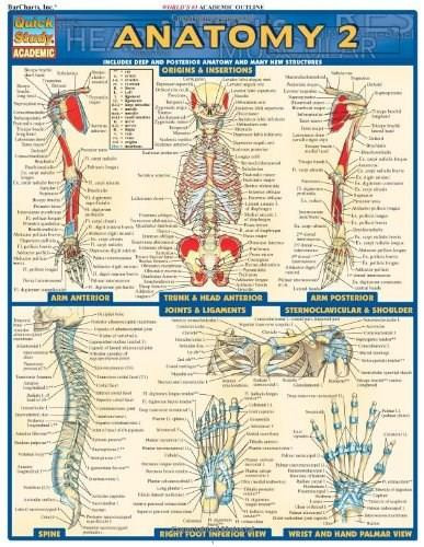 Anatomy 2 - Reference Guide (8.5 x 11) (a QuickStudy Reference Tool) by Perez, Vincent, 9781572228566
