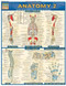 Anatomy 2 - Reference Guide (8.5 x 11) (a QuickStudy Reference Tool) by Perez, Vincent, 9781572228566