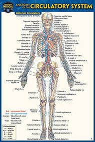 Anatomy of the Circulatory System (Pocket-Sized Edition - 4x6 inches) (Miniature Edition) by Perez, Vincent, 9781423242680