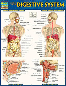 Anatomy of the Digestive System (QuickStudy Laminated Reference Guide) by Perez, Vincent, 9781423234623