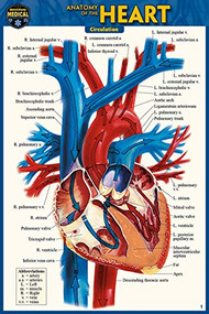 Anatomy of the Heart (Pocket-Sized Edition - 4x6 inches) (Miniature Edition) by Perez, Vincent, 9781423242703