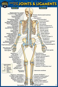 Anatomy of the Joints & Ligaments (Pocket-Sized Edition - 4x6 inches) (Miniature Edition) by Perez, Vincent, 9781423242710