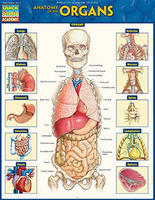 Anatomy of the Organs (QuickStudy Laminated Reference Guide) by Perez, Vincent, 9781423234630