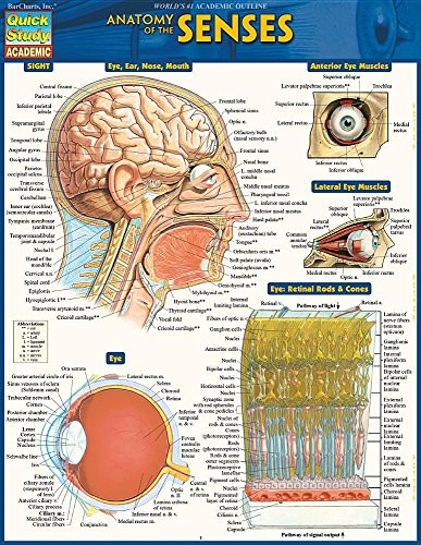 Anatomy of the Senses (QuickStudy Laminated Reference Guide) by BarCharts, Inc., 9781423234647