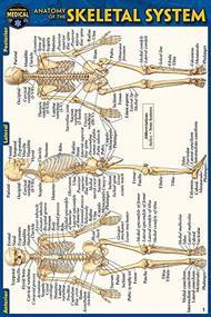 Anatomy of the Skeletal System (Pocket-Sized Edition - 4x6 inches) (Miniature Edition) by Perez, Vincent, 9781423242758