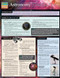 Astronomy: Stargazing by Orcutt, Scott, 9781423216346