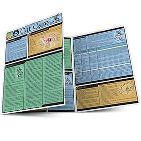 Cat Care - 9781572227439 by Pinney, Chris