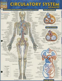 Circulatory System Advanced by Perez, Vincent, 9781423220305