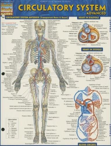Circulatory System Advanced by Perez, Vincent, 9781423220305