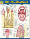 Dental Anatomy by Perez, Vincent, 9781423233107