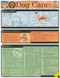 Dog Care by Pinney, Chris, 9781572227255