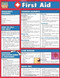 First Aid by BarCharts, Inc., 9781572226999