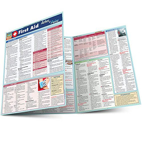 First Aid: Aches & Pains by Mahmoudi, Massoud, 9781423218661