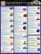Gemstone & Crystal Properties by Billock, Jennifer, 9781423228592