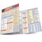 Japanese Verbs (a QuickStudy Laminated Reference Guide) by Misa Lindberg, MEd, TESOL, 9781423238720