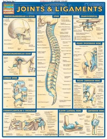 Joints & Ligaments by Perez, Vincent, 9781572226845