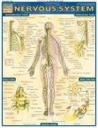 Nervous System by Perez, Vincent, 9781572224988