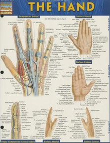 The Hand by Perez, Vincent, 9781423220220