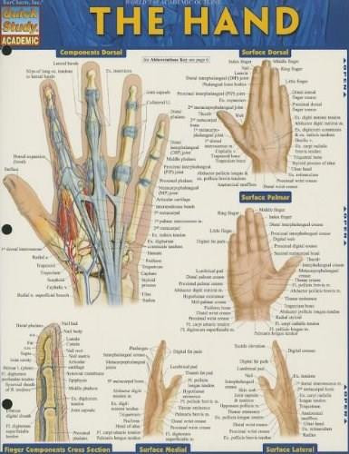 The Hand by Perez, Vincent, 9781423220220