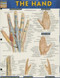The Hand by Perez, Vincent, 9781423220220