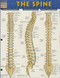 The Spine by Perez, Vincent, 9781423220237
