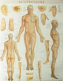 Acupressure Poster (22 x 28 inches) - Laminated (Anatomy of Points for Acupressure & Acupunture) by Perez, Vincent, 9781423222651