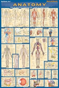 Anatomy Poster (24 x 36) - Laminated (a QuickStudy Reference) by Perez, Vincent, 9781423220770