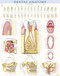 Dental Anatomy Poster (22 x 28 inches) - Laminated (a QuickStudy Reference) by Perez, Vincent, 9781423224259
