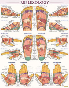 Reflexology Poster (22 x 28 inches) - Laminated (a QuickStudy Anatomy Reference) by Perez, Vincent, 9781423223078