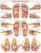 Reflexology Poster (22 x 28 inches) - Laminated (a QuickStudy Anatomy Reference) by Perez, Vincent, 9781423223078