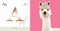 ABC Animals - 9781441334633 by , 9781441334633