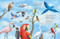 All the Birds in the World by , 9781441333292
