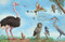 All the Birds in the World by , 9781441333292
