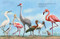 All the Birds in the World by , 9781441333292