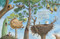 All the Birds in the World by , 9781441333292