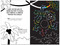 SCRATCH & SKETCH DOT-TO-DOT ANIMAL, 9781441321695