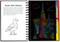 SCRATCH & SKETCH NEW YORK CITY, 9781441330819