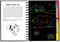 SCRATCH & SKETCH WILD CATS, 9781441331922