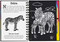 SCRATCH & SKETCH WILD SAFARI TAL, 9781441333582