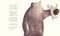 Teddy the Terrible by , 9781441323187
