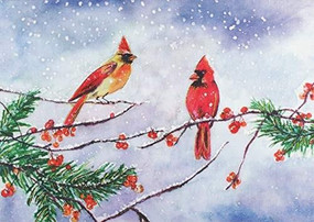 Cardinals & Berries Deluxe Boxed Holiday Cards, 9781441336507