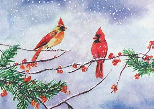 Cardinals & Berries Deluxe Boxed Holiday Cards, 9781441336507