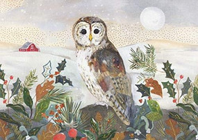 Country Owl Deluxe Boxed Holiday Cards, 9781441336514