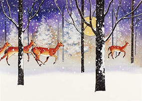 Deer in Snowfall Deluxe Boxed Holiday Cards, 9781441336538