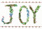 Joy & Holly Small Boxed Holiday Cards, 9781441336644