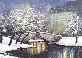 Snowfall in the Park Deluxe Boxed Holiday Cards, 9781441336460